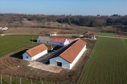 Topola Donja Trešnjevica imanje 1083m2 80 ari
