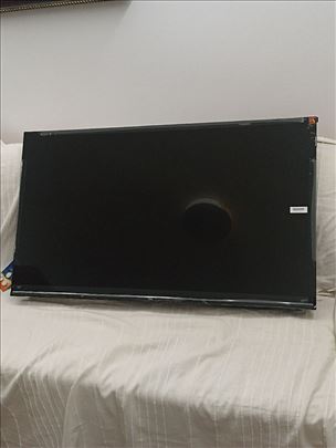 TV TCL 43