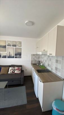 Apartman Kopaonik Suncani Breg - Treska