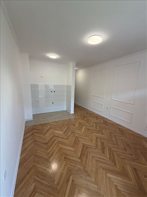 Detelinara garsonjera 25m2 HITNO!