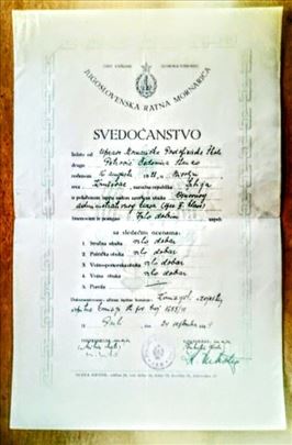 Jugoslovenska ratna mornarica, 1949., svedočanstvo