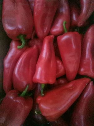 Pečena paprika