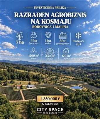 Plantaža borovnice i maline 7Ha na Kosmaju