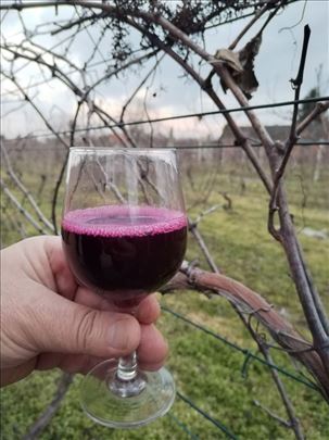 Vino domaće sa Fruške Gore, Beograd 