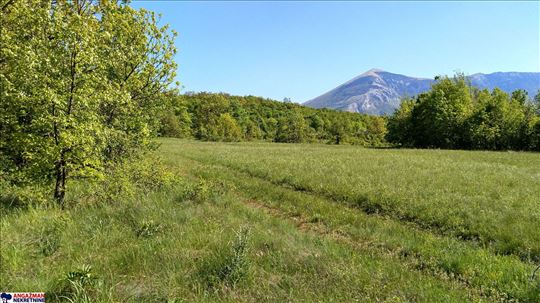 Izuzetna ponuda 9ha 60ari (960 ari)