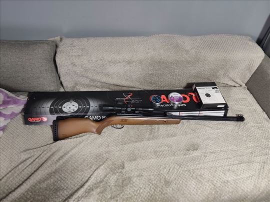 Gamo .5.5