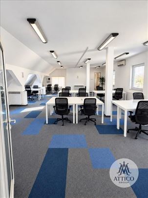 Poslovni prostor 300 m² sa dvorištem i terasom u c