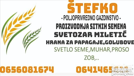 Svetlo Seme,Proso,Muhar,kokicar kukuruz