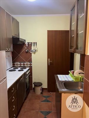 Jednoiposoban stan sa velikom terasom na Novom nas