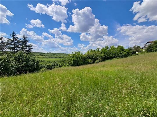 Odličan plac - šuma 4300m2, na putu za Andrevlje,