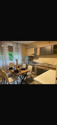 Izdavanje stana na Karaburmi 37m2