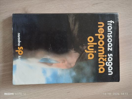 Nepomična oluja - Sagan