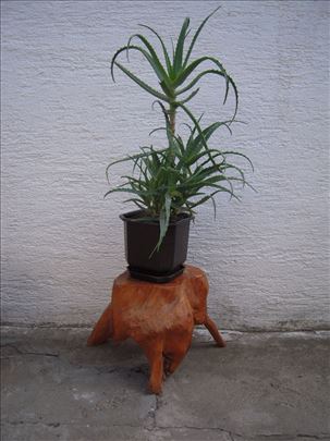 ALOJA