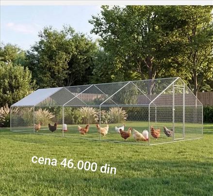 Kavez za kokoške ptice zeceve