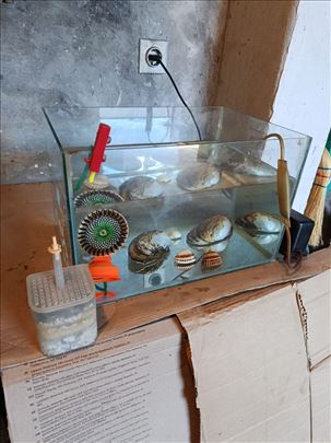 Akvarijum za ribice