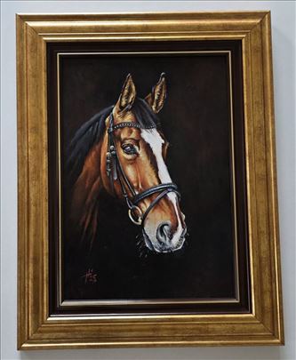 Ulje na platnu - Portret konja, prelepa slika!