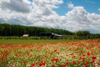 Prosečna cena obradivog zemljišta u Srbiji 9.583 evra po hektaru- bliži se ceni u zemljama EU