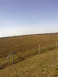 Prodaja zemljišta Krnješevci | Halo oglasi nekretnine