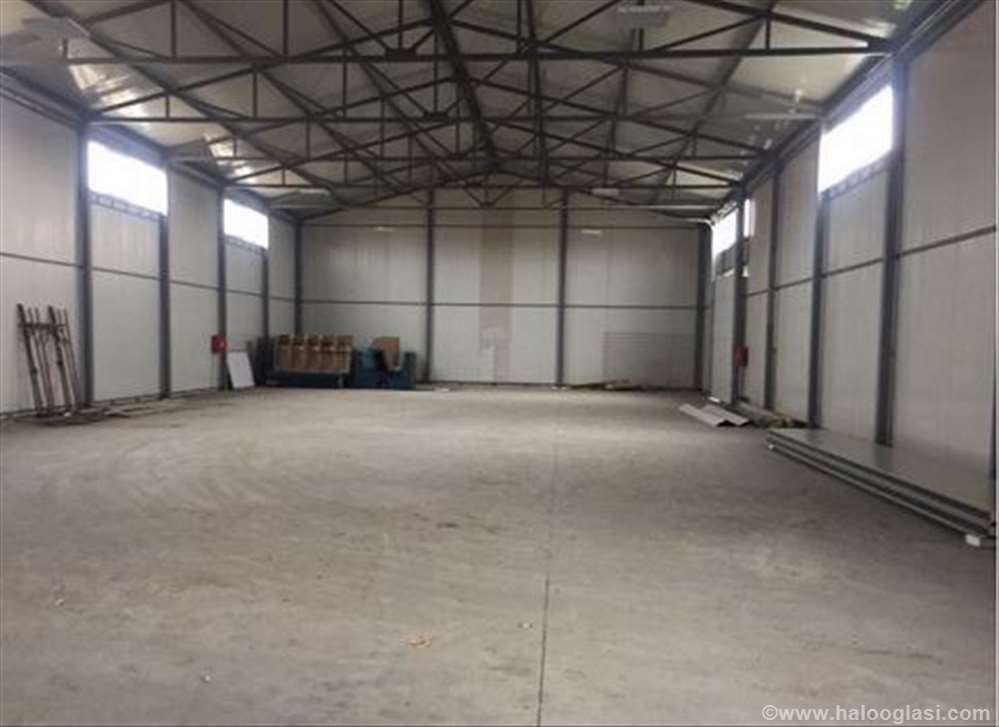 Zrenjaninski put 665m2 Halo Oglasi