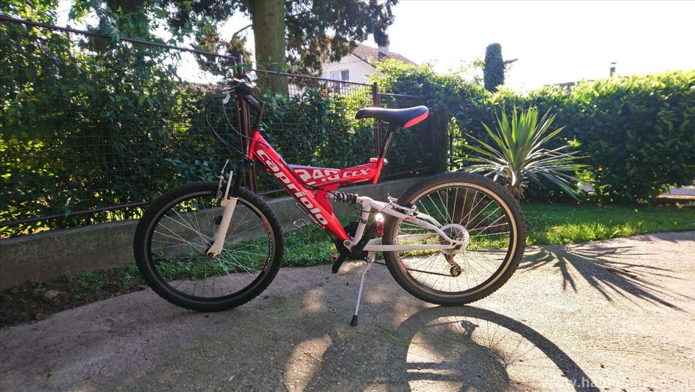 Capriolo 240 CTX | Halo Oglasi