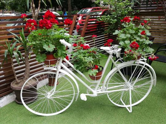 sijed vrh vršiti  Starinski bicikl za cvece | Halo Oglasi