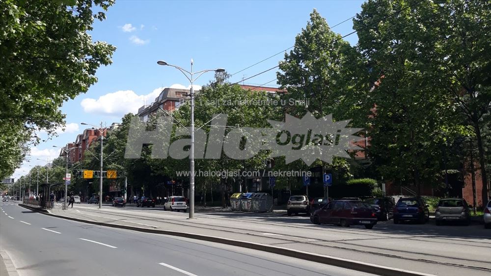 LION,KOSTE ABRASEVICA Halo Oglasi