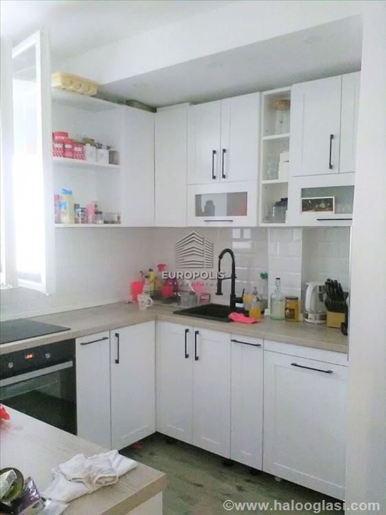 Ljubomira Stojanovića, PROFESORSKA KOLONIJA, Palil Halo Oglasi