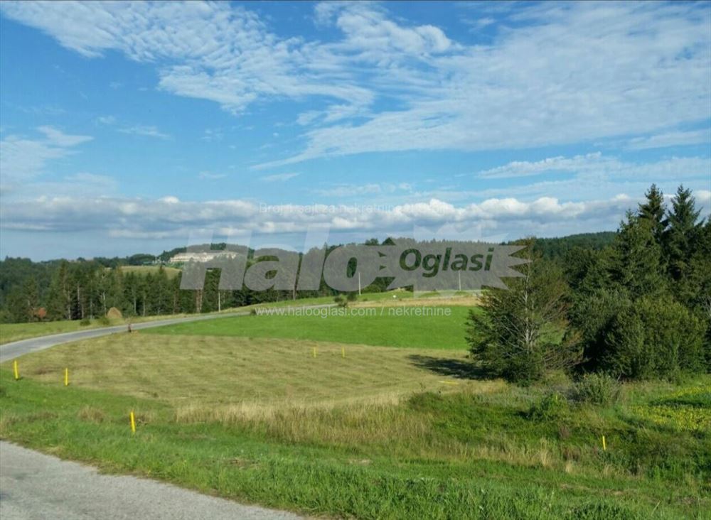 Prodajem plac na Tari. Halo Oglasi