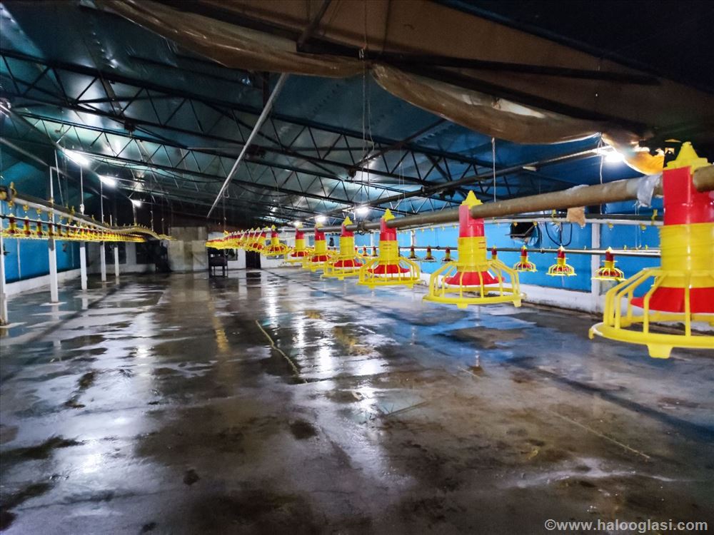 Hala na prodaju u Kruševcu Halo Oglasi