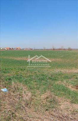 Prodaja zemljišta Stara Pazova | Halo oglasi