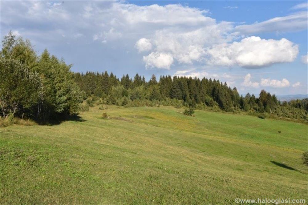 Prodaje se polj.zemljište 2617 m2, Zlatar, N.Varoš | Halo Oglasi