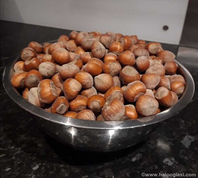 Lesnik u ljusci prodaja Halo Oglasi