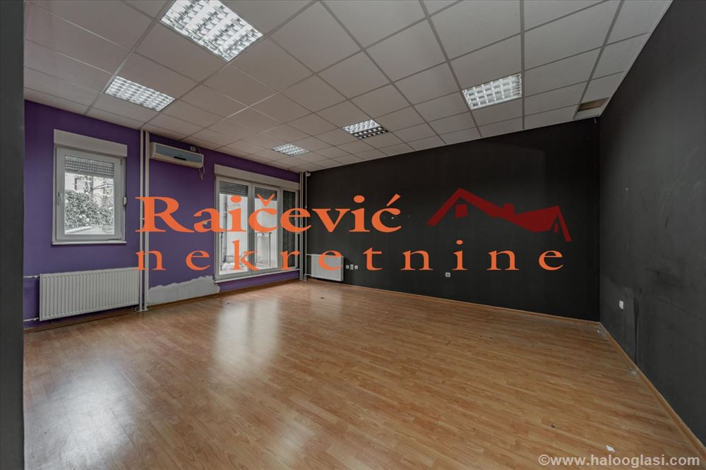 Lion, Koste Abrasevica Halo Oglasi