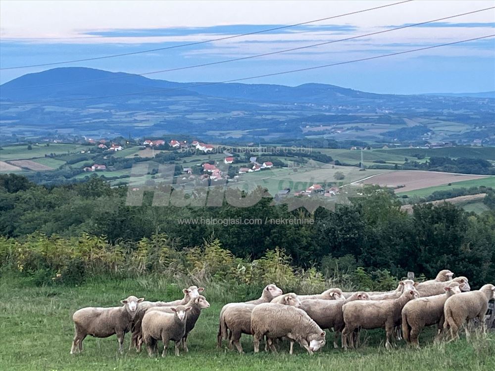 Pogled Šumadijski Zlatibor | Halo Oglasi