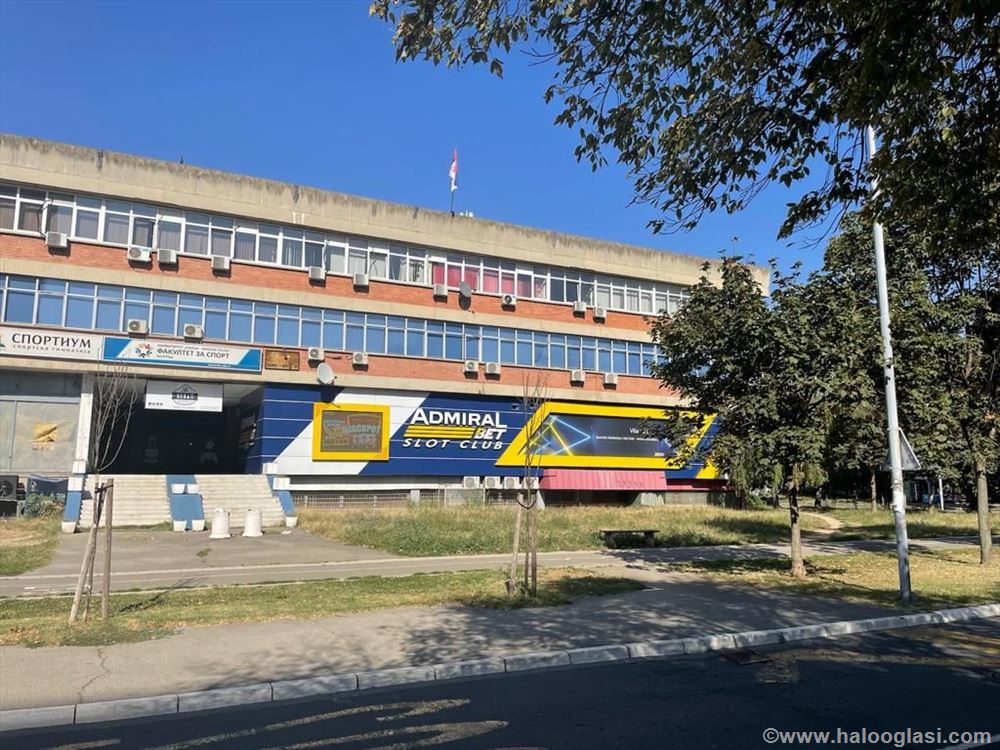 Novi Bg, Carina, Bul. Zorana Djindjića Halo Oglasi