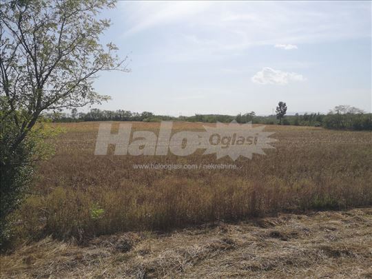 Prodaja zemljišta Topola Halo oglasi