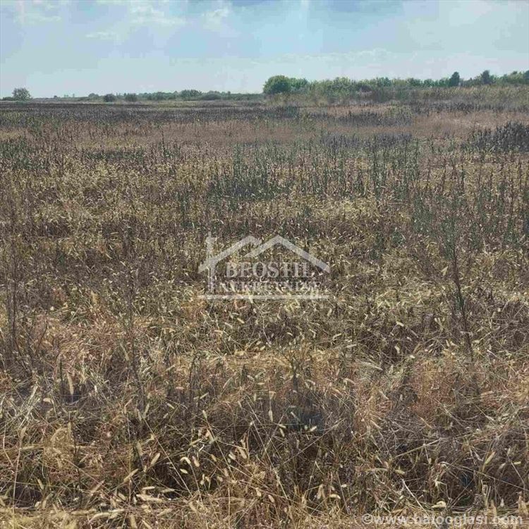 Stara Pazova - Krnješevci - 307a ID#18910 | Halo Oglasi