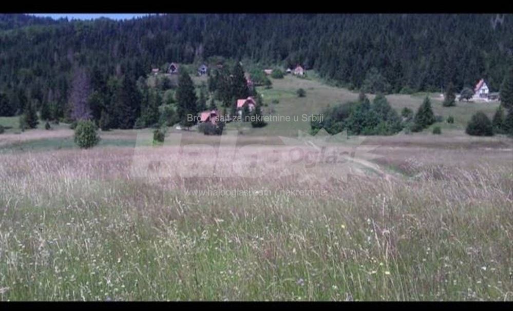 Plac na Tari Račanska Šljivovica Halo Oglasi