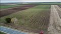 Poljoprivredno zemljište Irig 10.400 m2 hitno