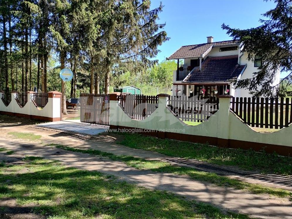 Carpe Diem | Halo Oglasi