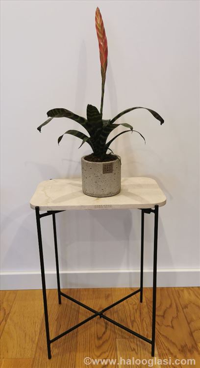 Zara home | Halo Oglasi