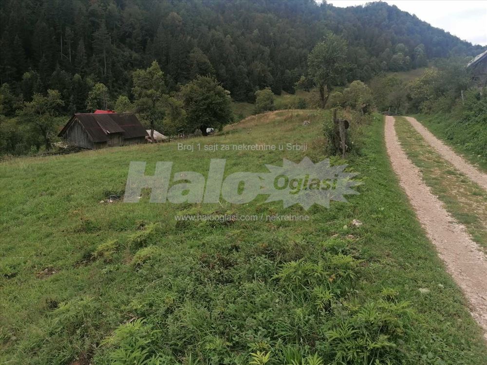 Plac na Tari Halo Oglasi