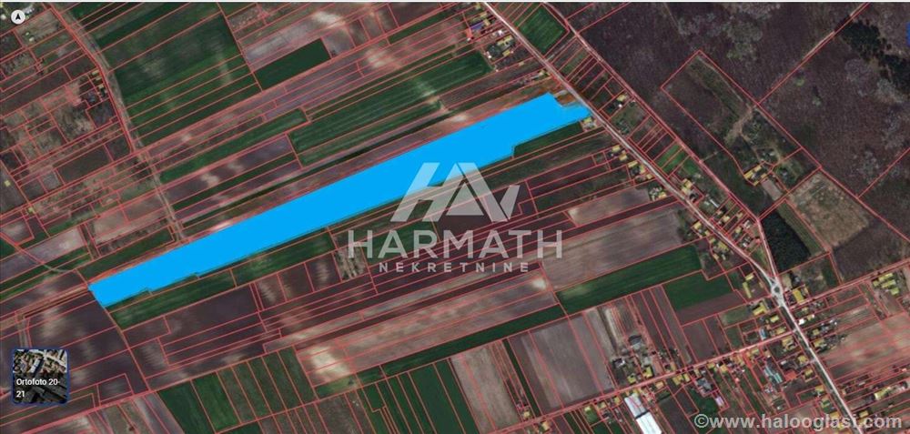 Agricultural land for sale in Subotica — photo