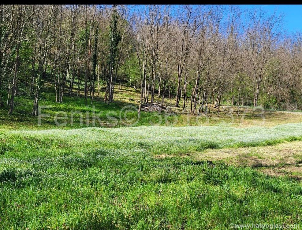 Prodaja Građevinskog Zemljišta Lisović | Halo Oglasi