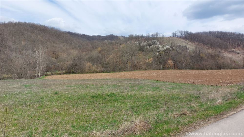 Boljevac, Rtanj Dobro polje 5ha 72a 77kvm Halo Oglasi
