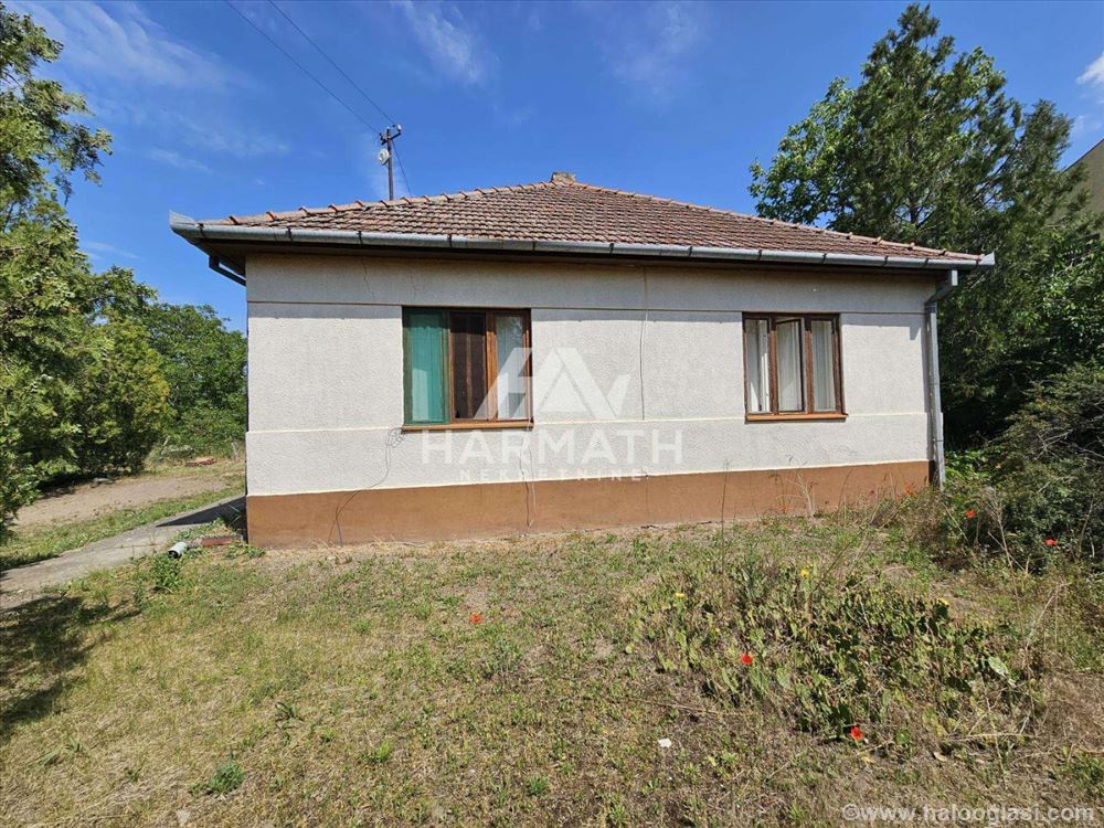 Продается дом на участке 5093м2 в Паличе — фото