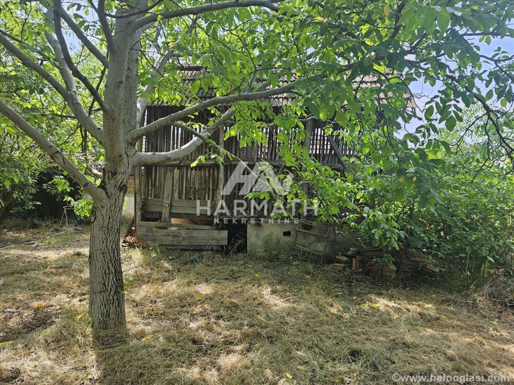 Продается дом на участке 5093м2 в Паличе — фото