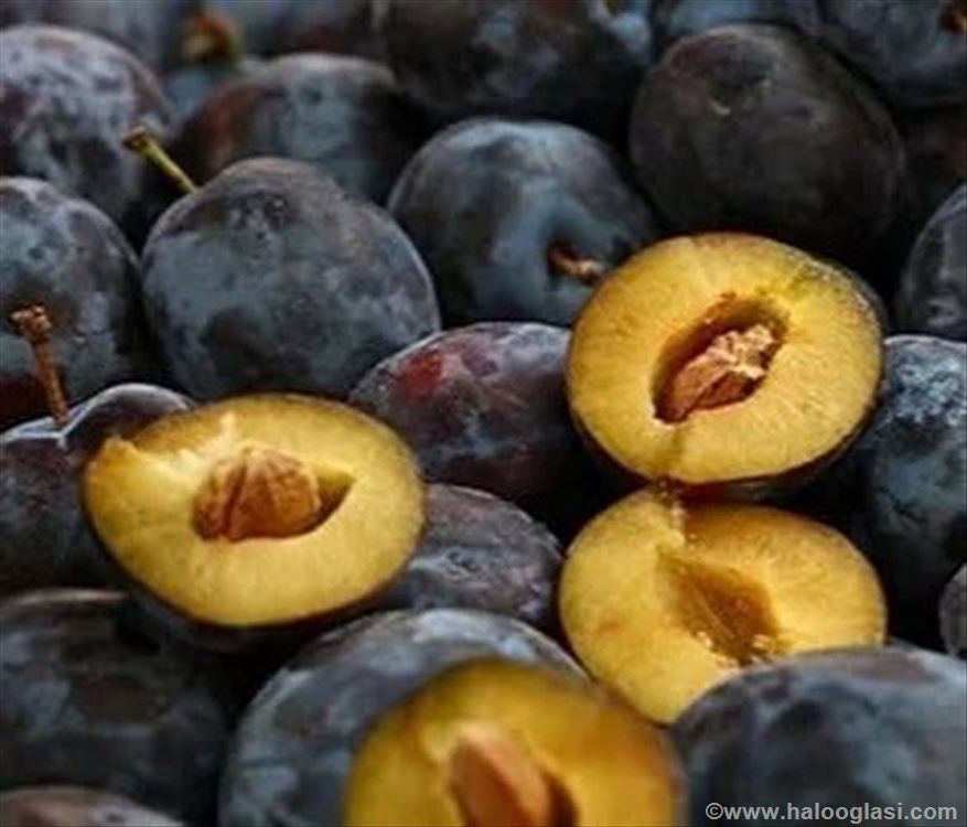 Rezervacije u toku za jesenju sadnju voćnih sadnic | Halo Oglasi