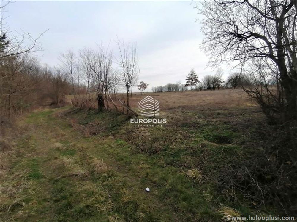 kara-or-eva-beljina-barajevo-id-3673-halo-oglasi