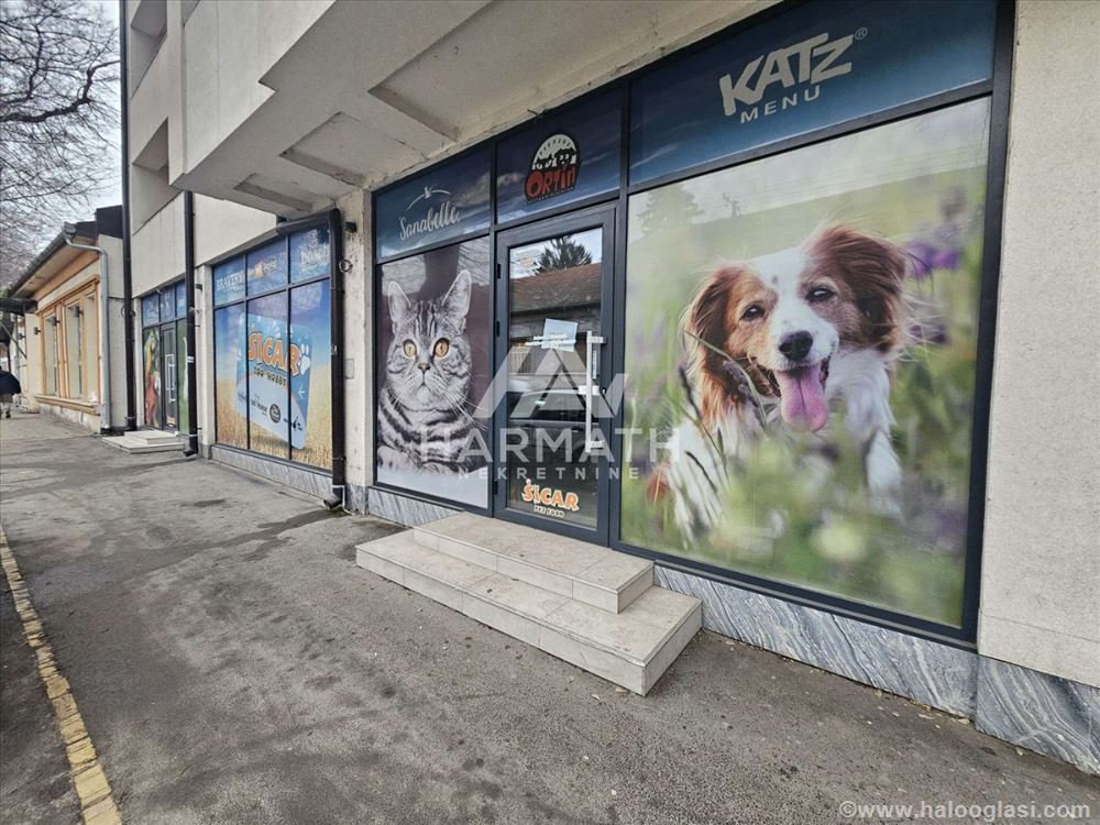 Poslovni prostor 182m2 za izdavanje, Zmaj Jovina — fotografija